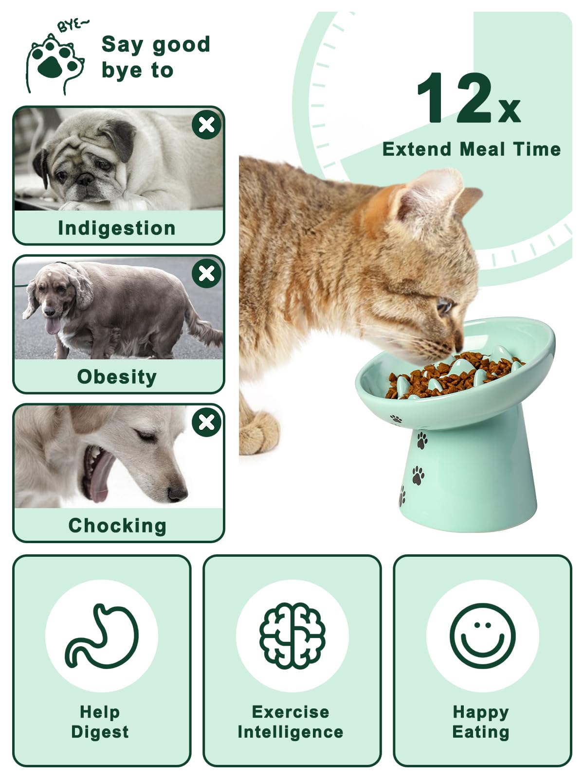 Y YYHY 12-times-slower-eating design promotes mindful meals for cats.
