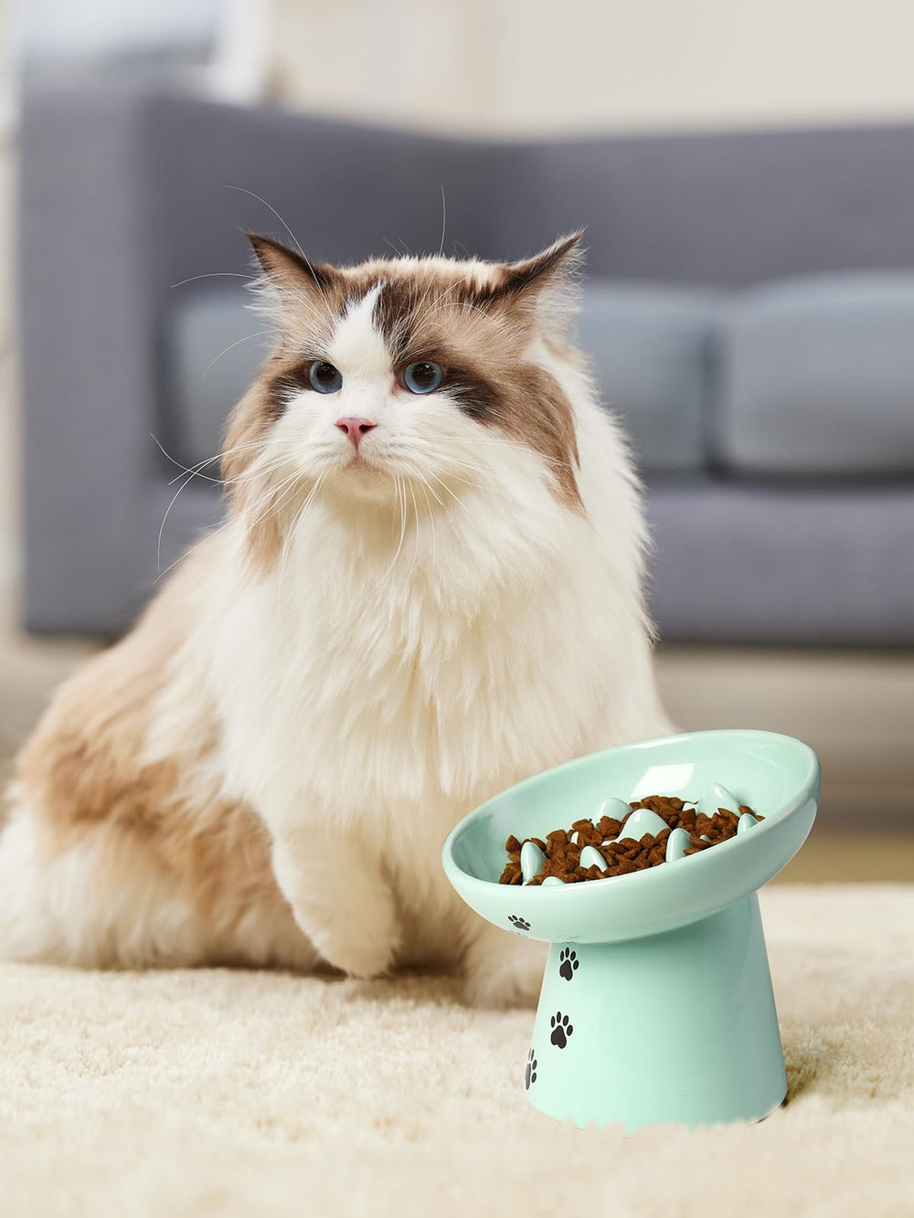 Y YYHY green ceramic bowl suitable for both dry and wet food.