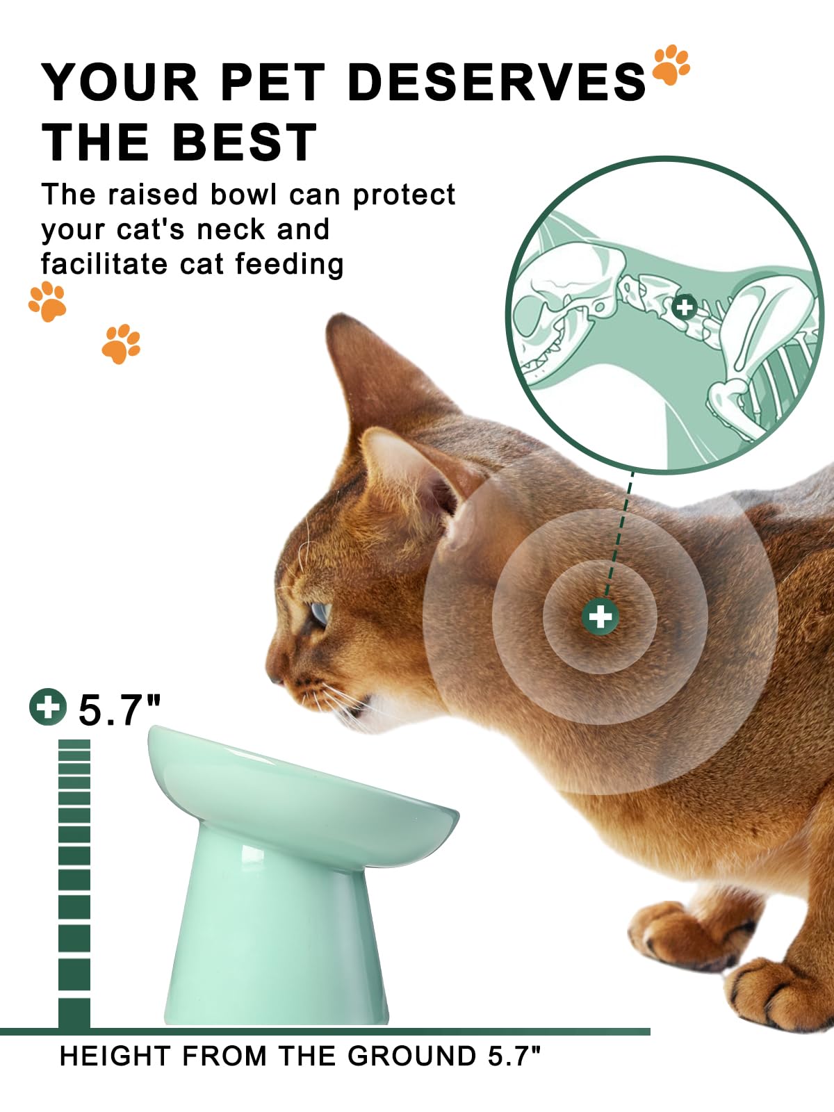 Y YYHY shallow bowl reduces whisker fatigue and spills during feeding.