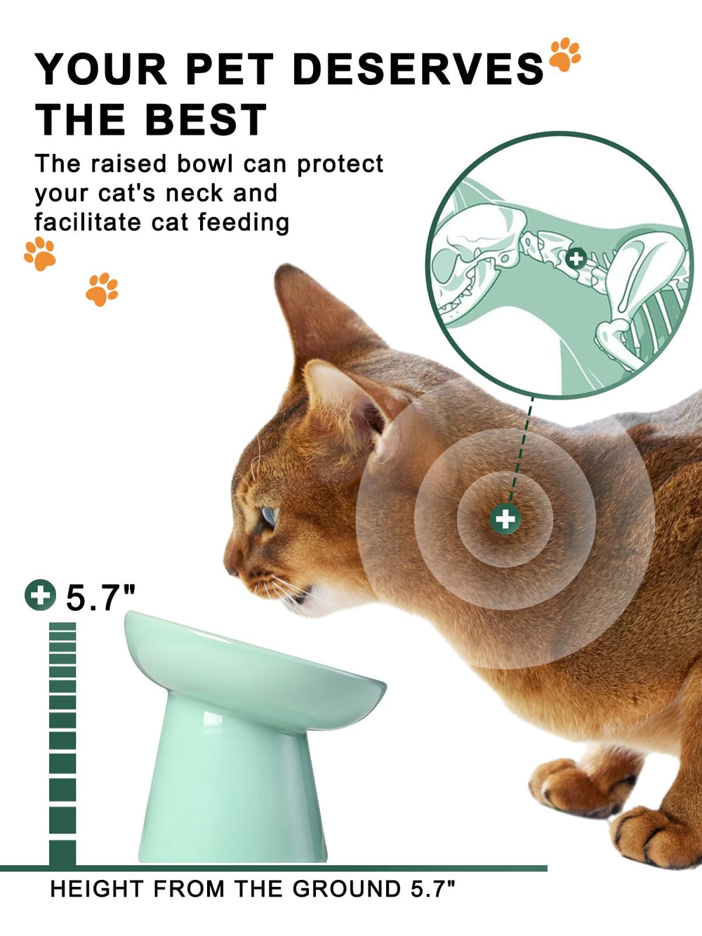 Y YYHY shallow bowl reduces whisker fatigue and spills during feeding.