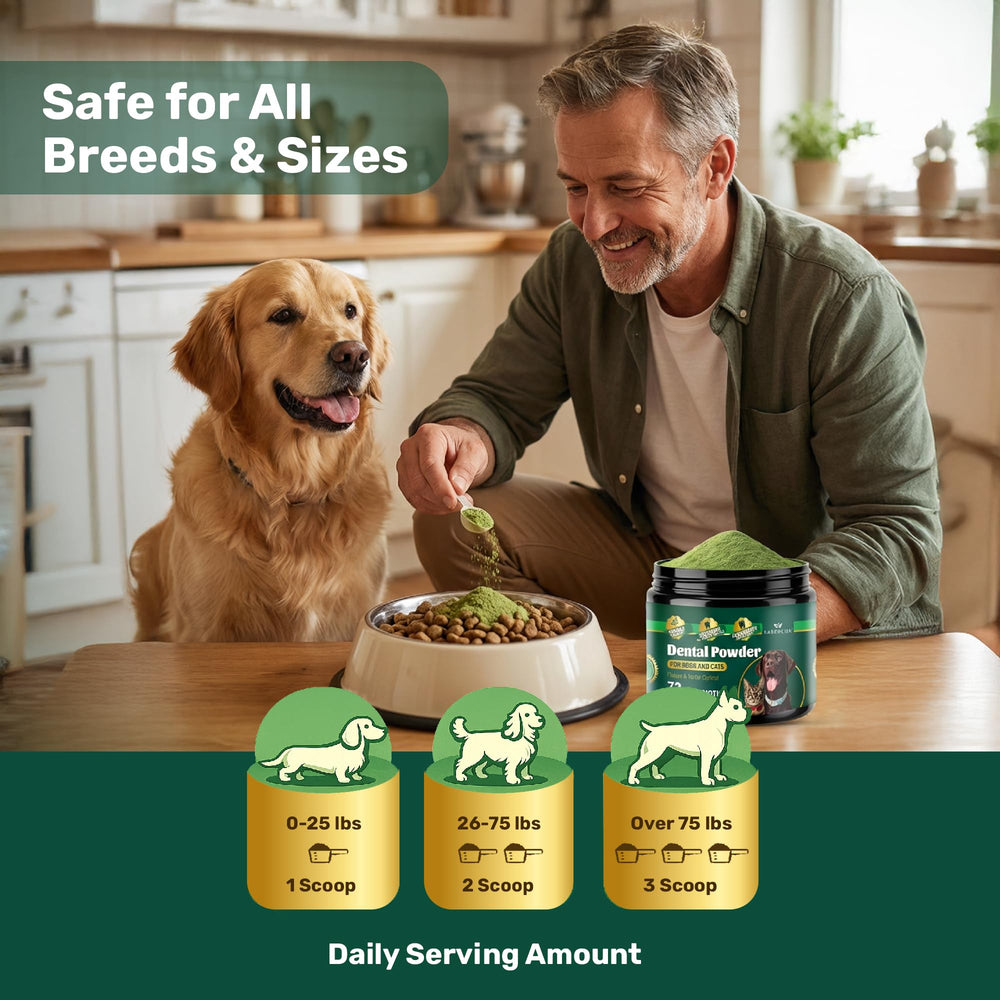 Yabercha dental powder on food demonstrates potential fresher breath with regular use.