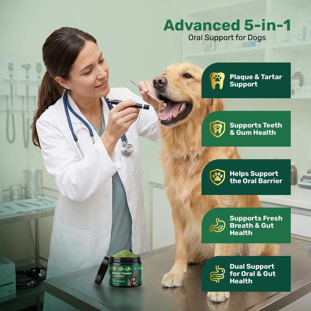 Yabercha powder sprinkled on dog food to support regular oral care.