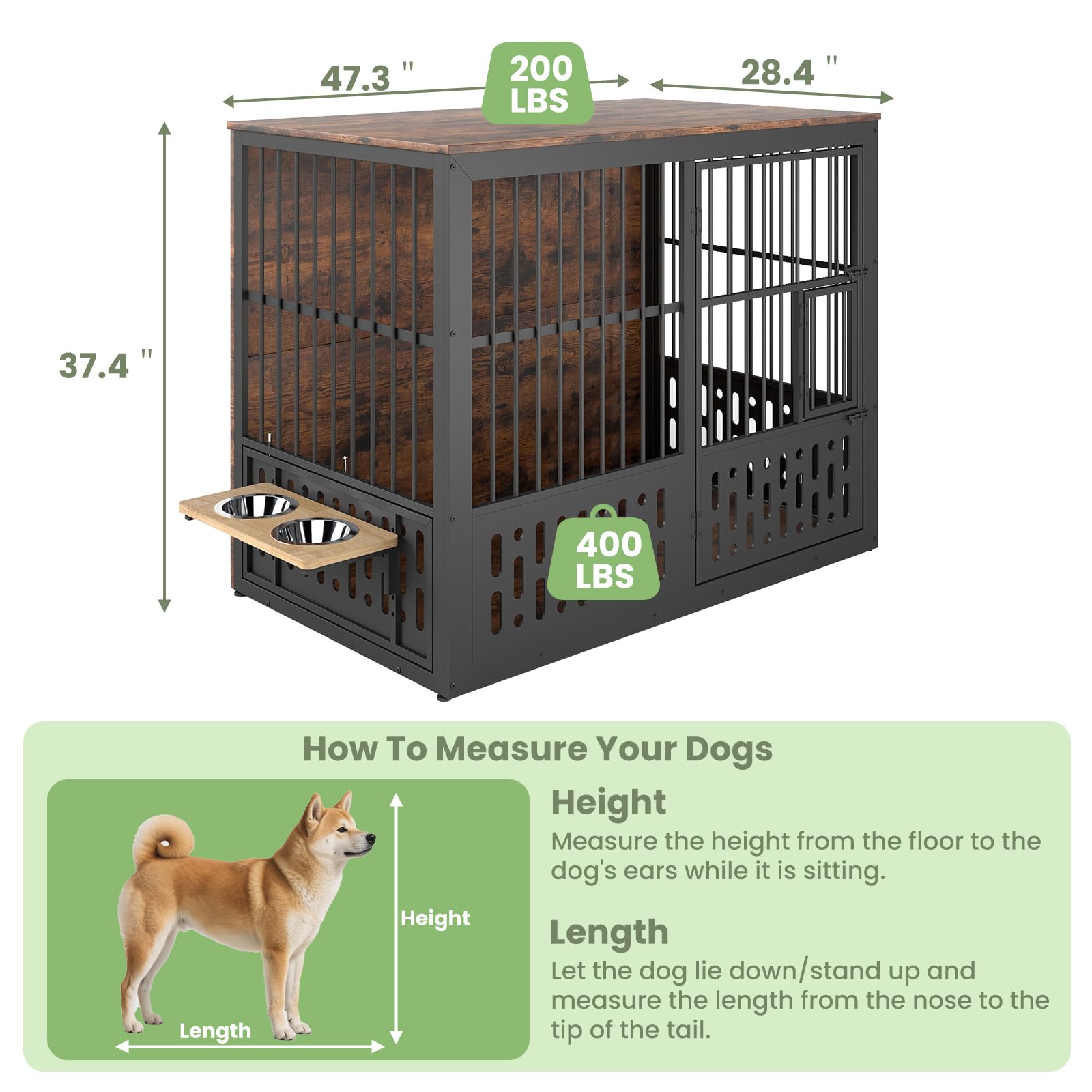 Yafylly 360-degree feeder with two bowls at five height levels