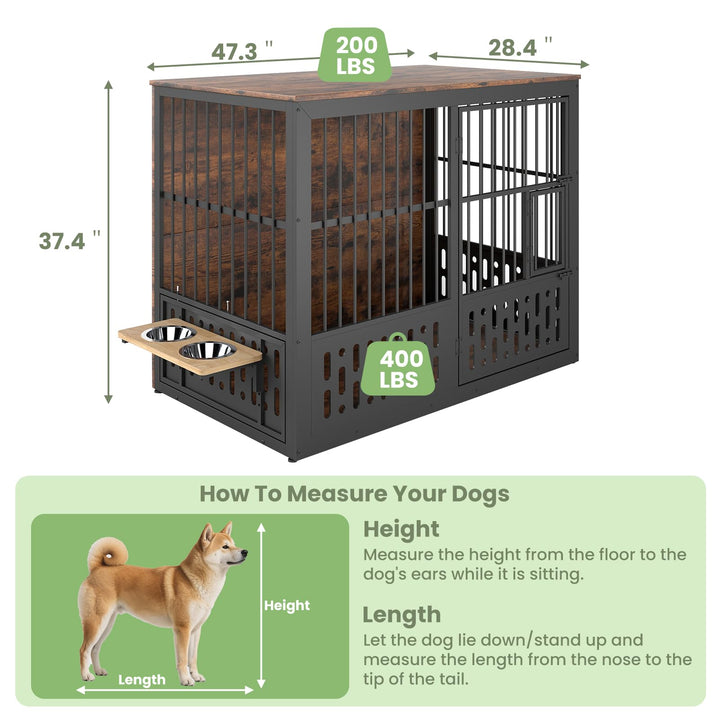 Yafylly 360-degree feeder with two bowls at five height levels