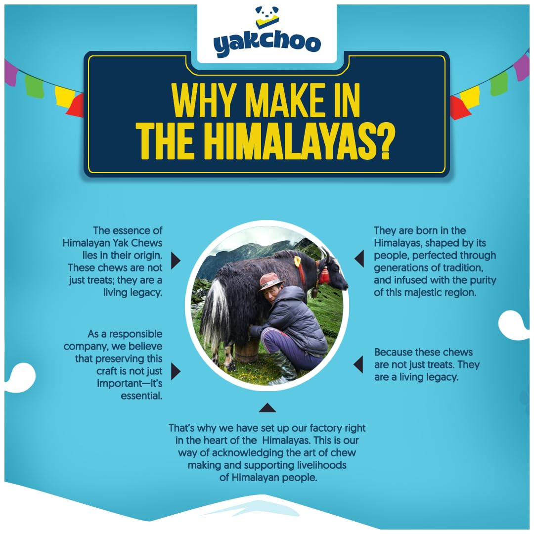 Yakchoo gluten-free lactose-free bite highlights allergen-friendly option.