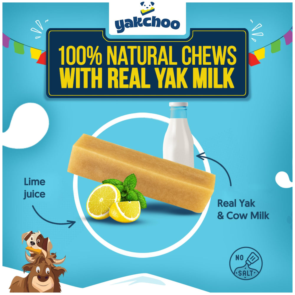 Yakchoo long-lasting chew texture highlights durability for aggressive chewers.
