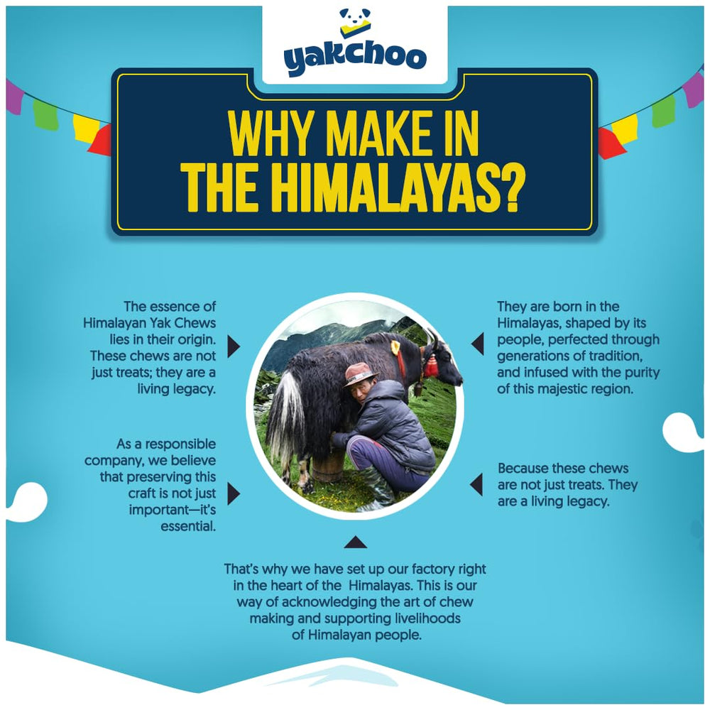 Yakchoo pack-of-3 chews image, long-lasting dog chew during playtime.