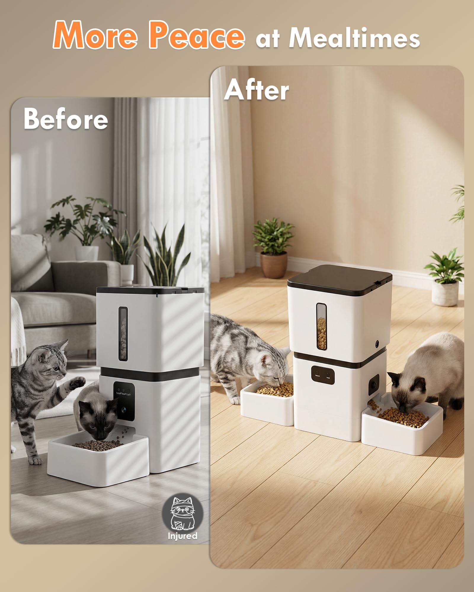Yakry feeder live video view with two-way audio for pet reassurance.