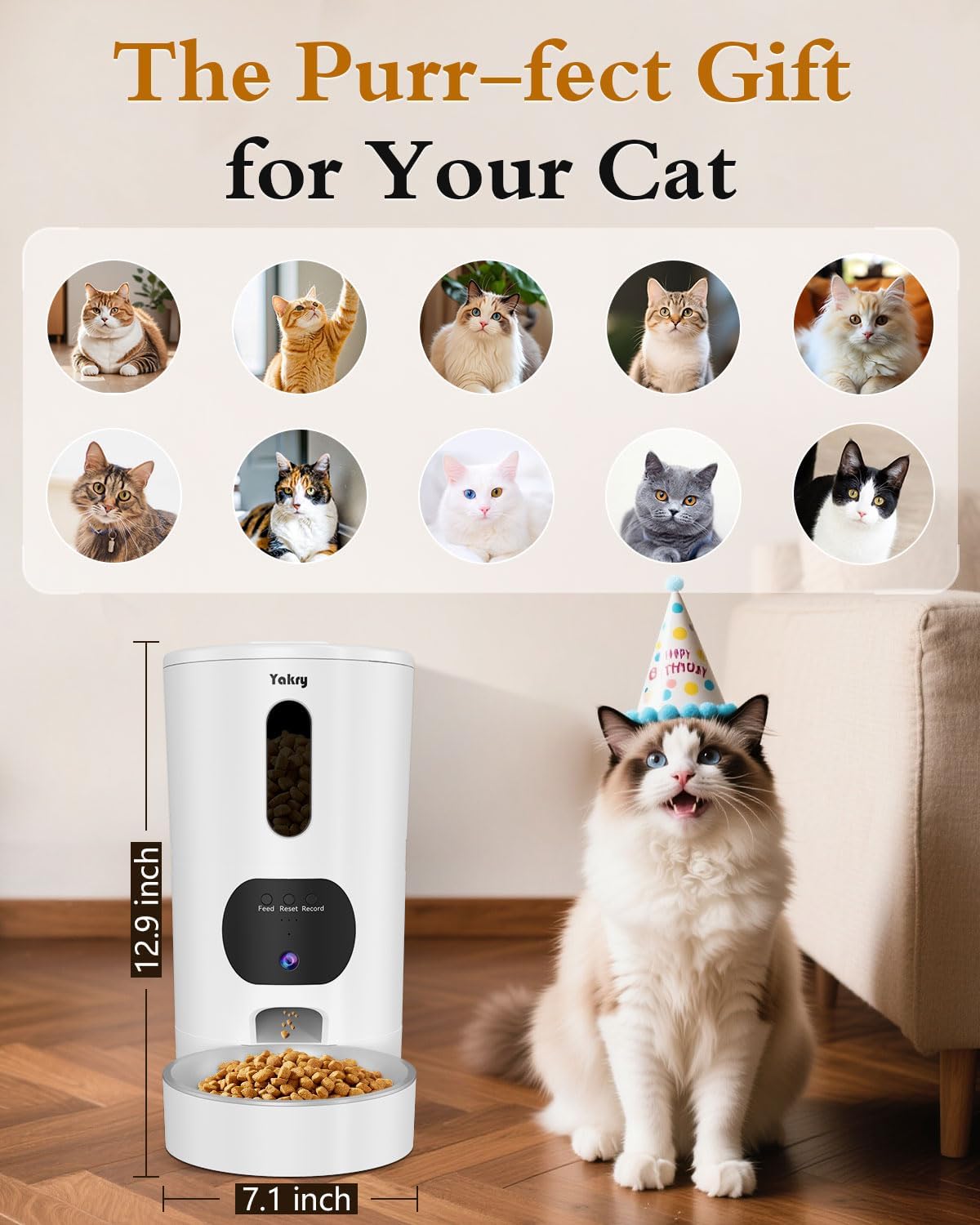 Yakry pet mealtime action with camera and audio.