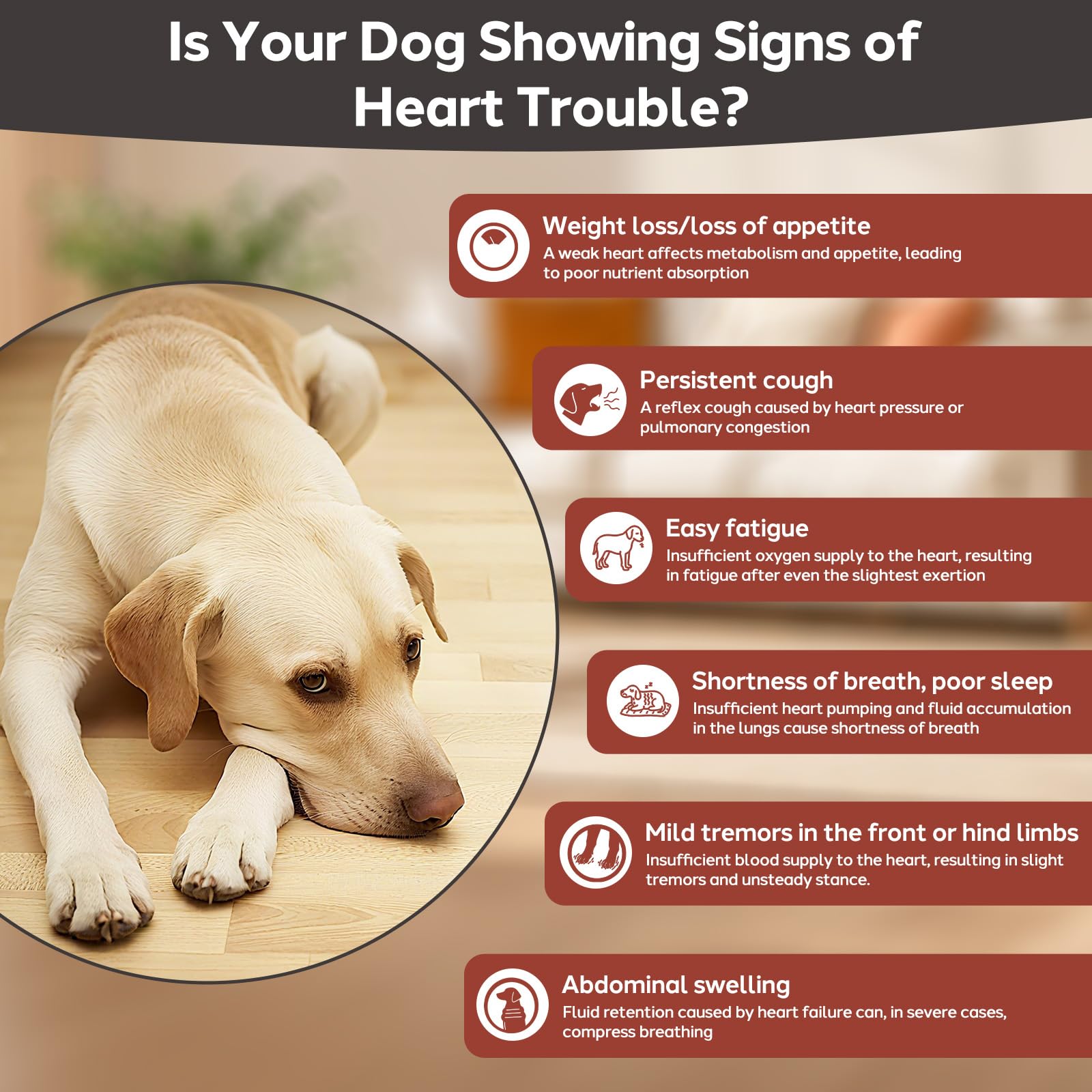 Yakucho hawthorn-inspired dog heart health tablets for circulatory support.