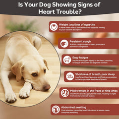 Yakucho hawthorn-inspired dog heart health tablets for circulatory support.