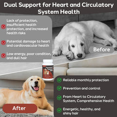 Yakucho heart and circulation support tablets offering steady energy in dogs.