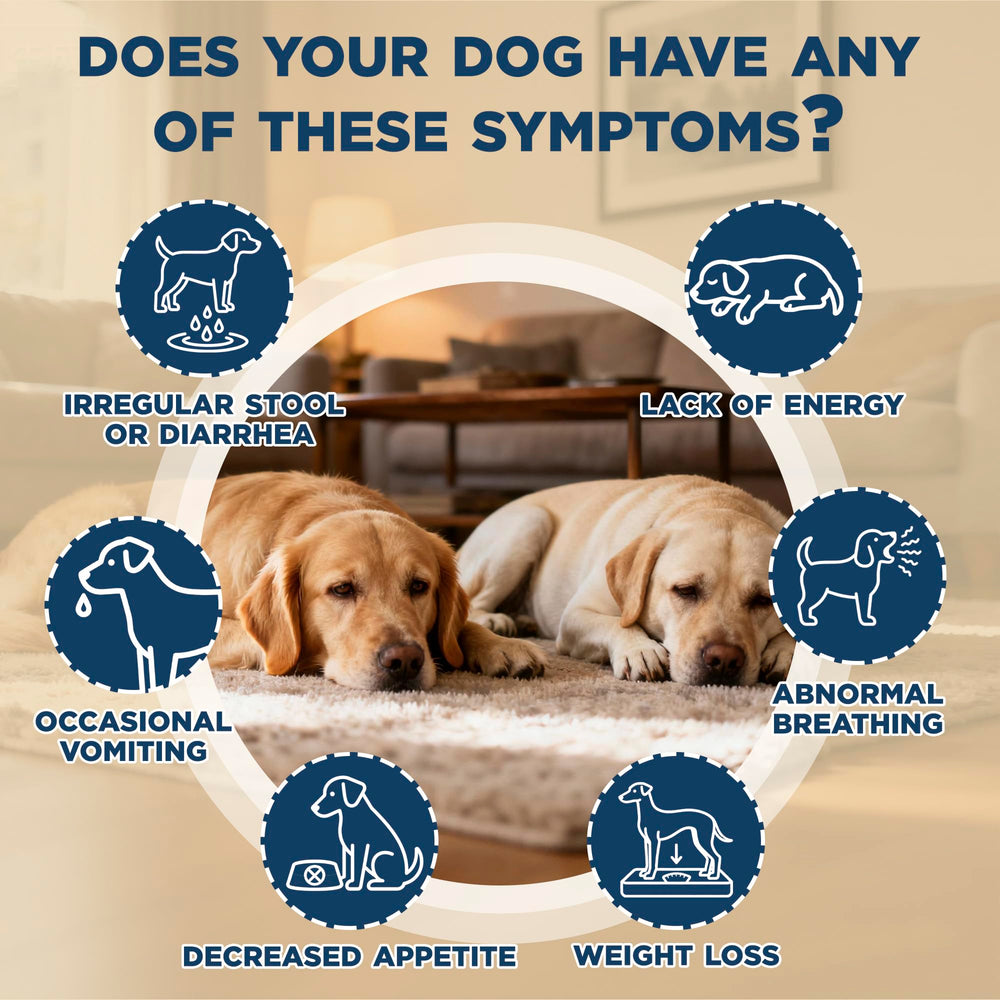 Yakucho lvermect for dogs liquid digestive support shown mixed with food for easy daily use.