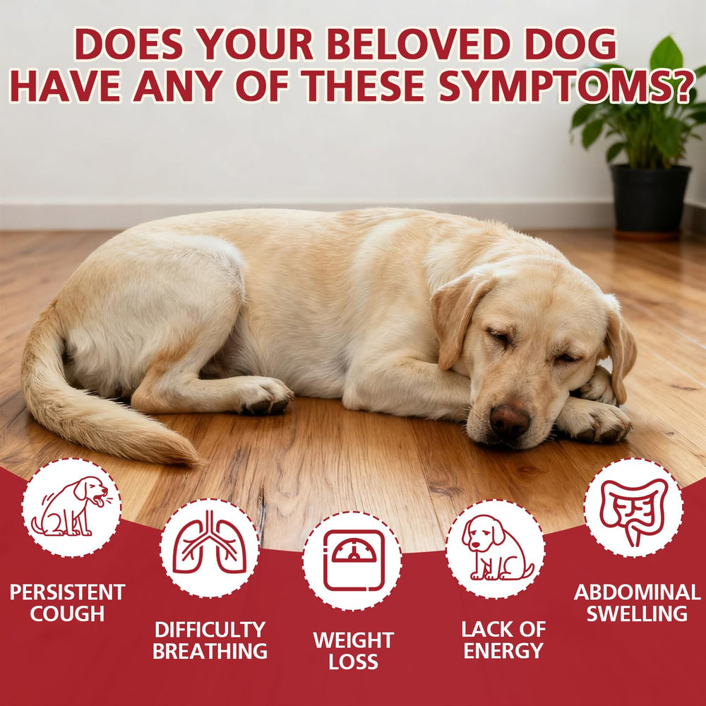 Yakucho lvermect dogs tablets closeup highlighting a mild, high-purity chew for dogs.