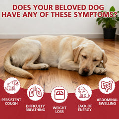 Yakucho lvermect dogs tablets closeup highlighting a mild, high-purity chew for dogs.