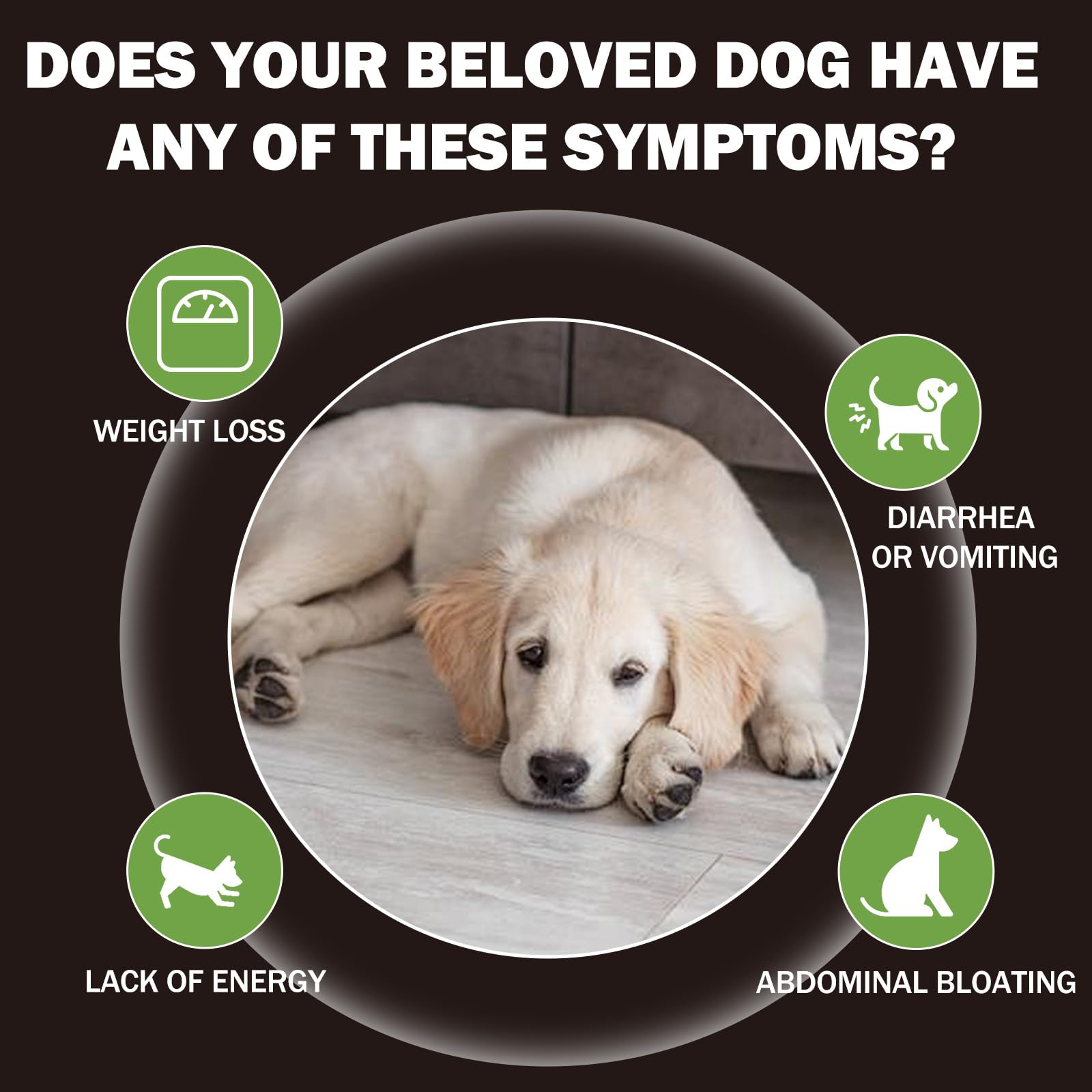 Yakucho lvermect tablets for dogs dosage chart image; helps plan monthly administration.