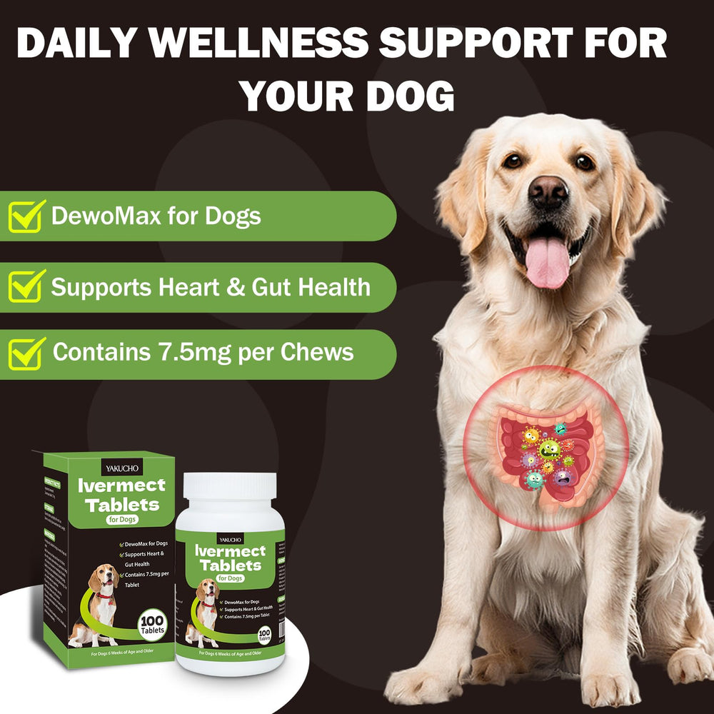 Yakucho lvermect tablets for dogs packaging; ready for storage and use.