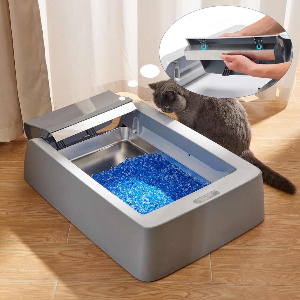 Yangbaga easy-to-clean tray with quick rinse after scooping.