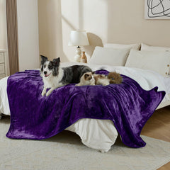 Yaning car seat protector blanket keeps seats clean during travel.