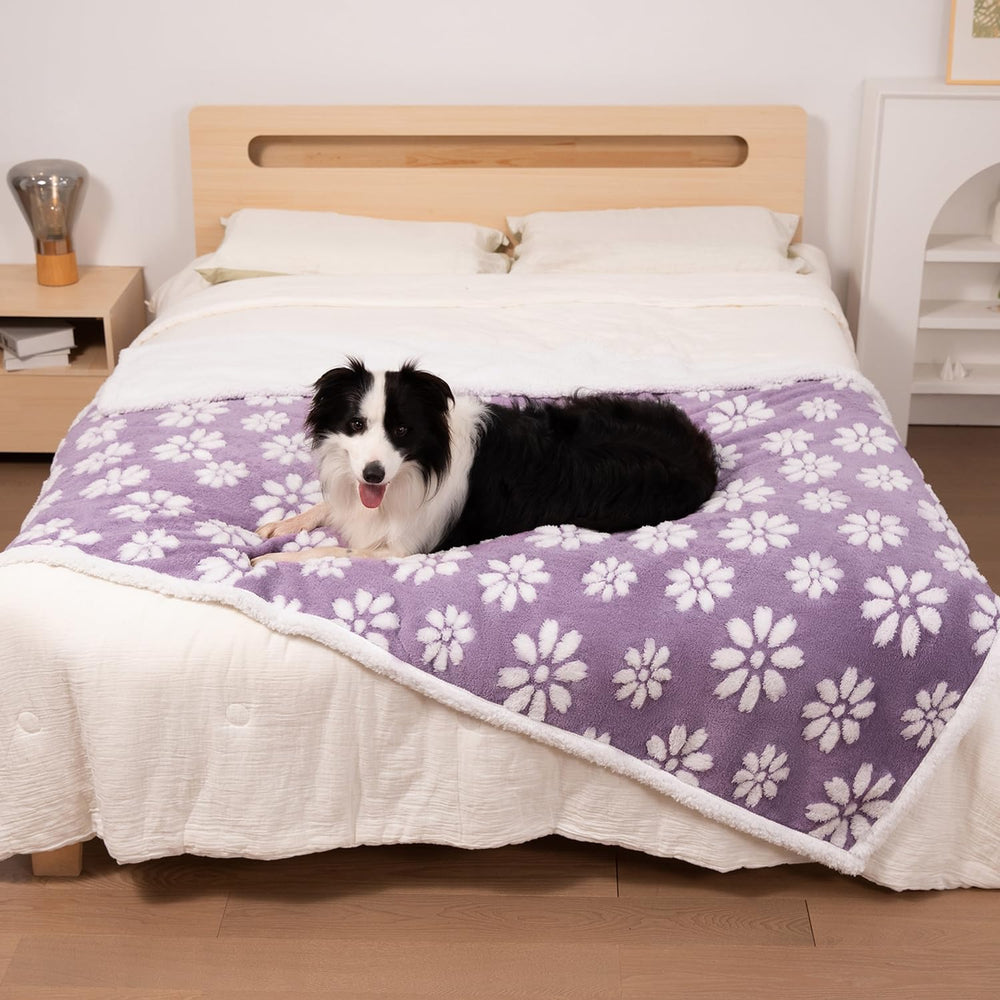 Yaning durable stitched design for daily pet use.