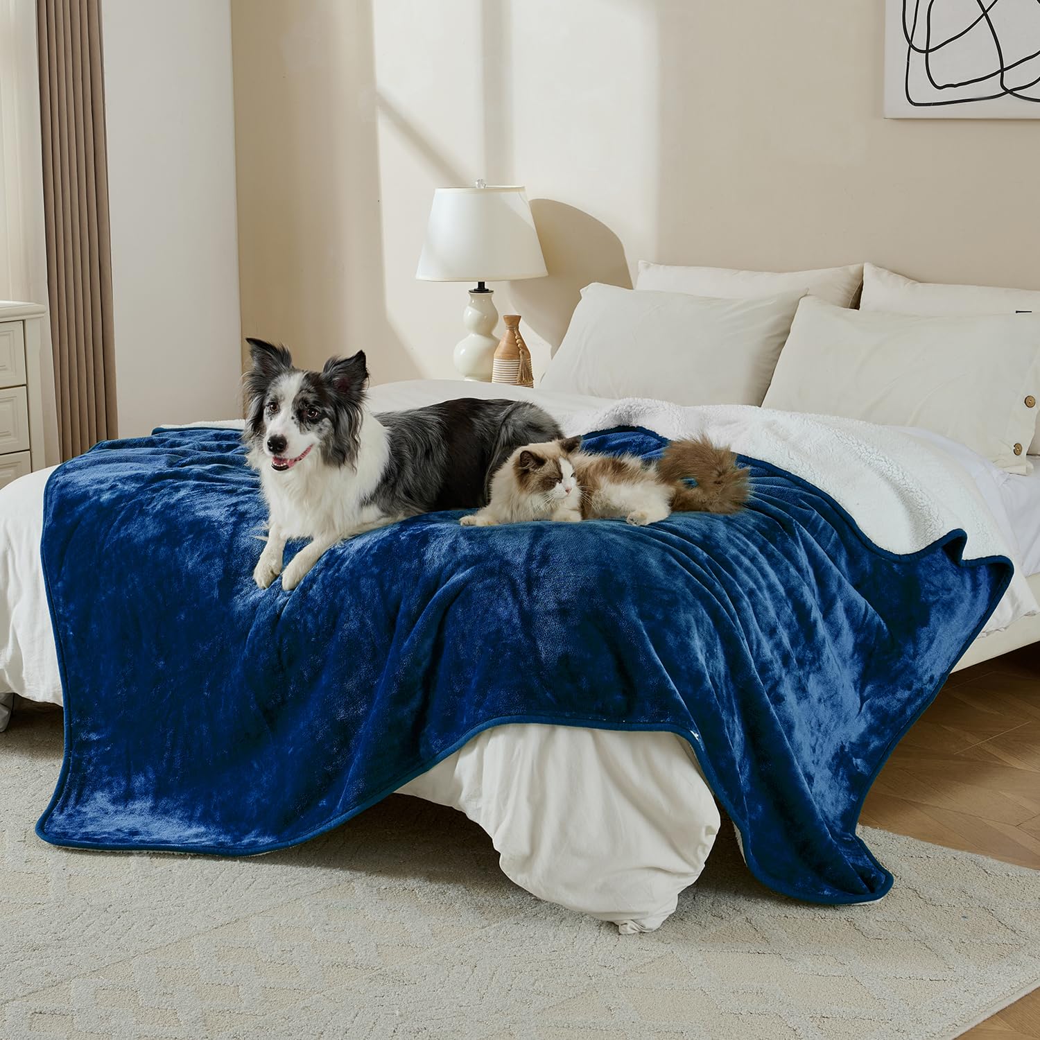 Yaning blanket with a pet on top protects furniture from fur and accidents.