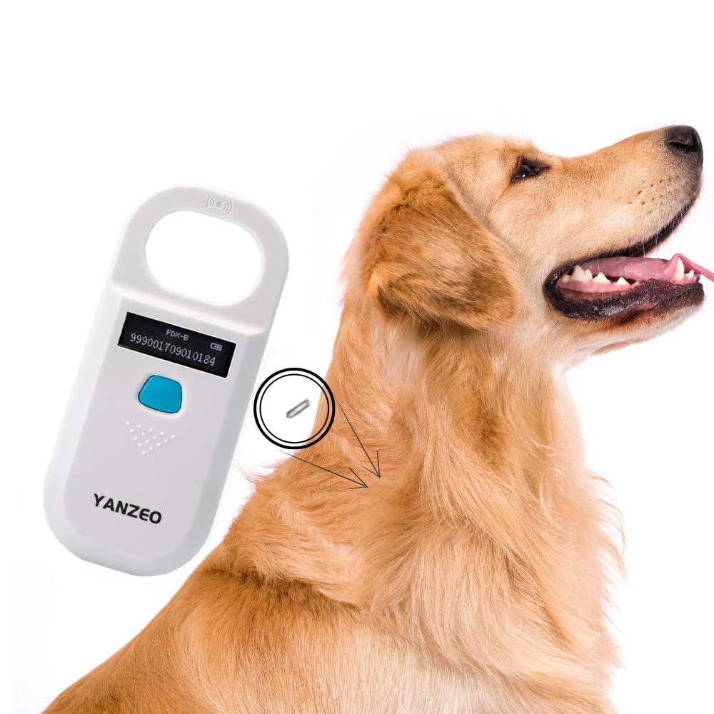 Yanzeo AR180 rechargeable battery with USB charging capability