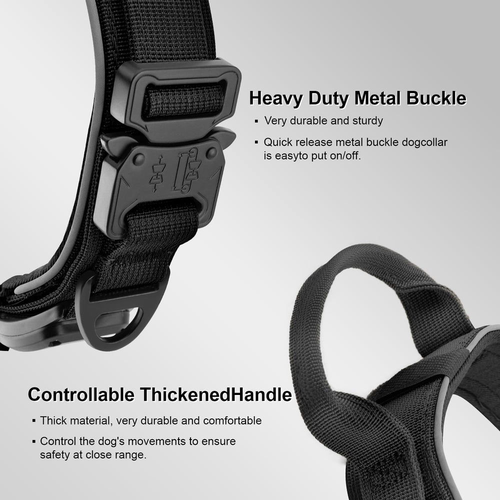 YaoTya night-reflective dog collar boosting visibility during evening walks.