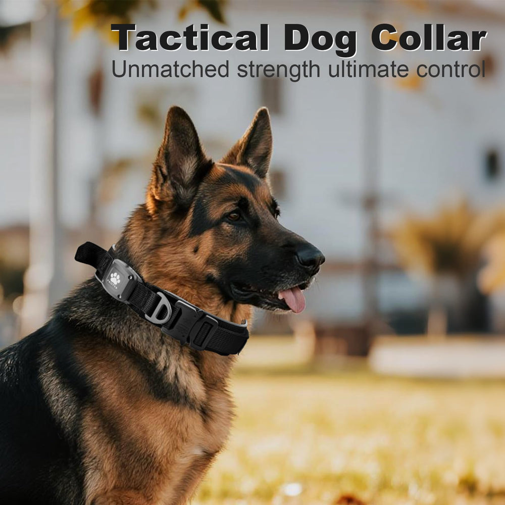 YaoTya XL size collar fits larger dogs with comfortable neck protection.