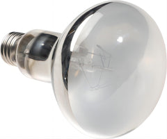 YauldSun 125W UVB UVA lamp over bearded dragon basking area