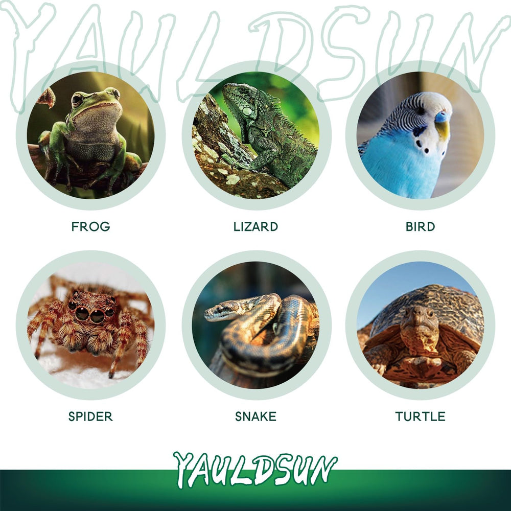 YauldSun 125W UVB UVA lamp provides glow in turtle habitat