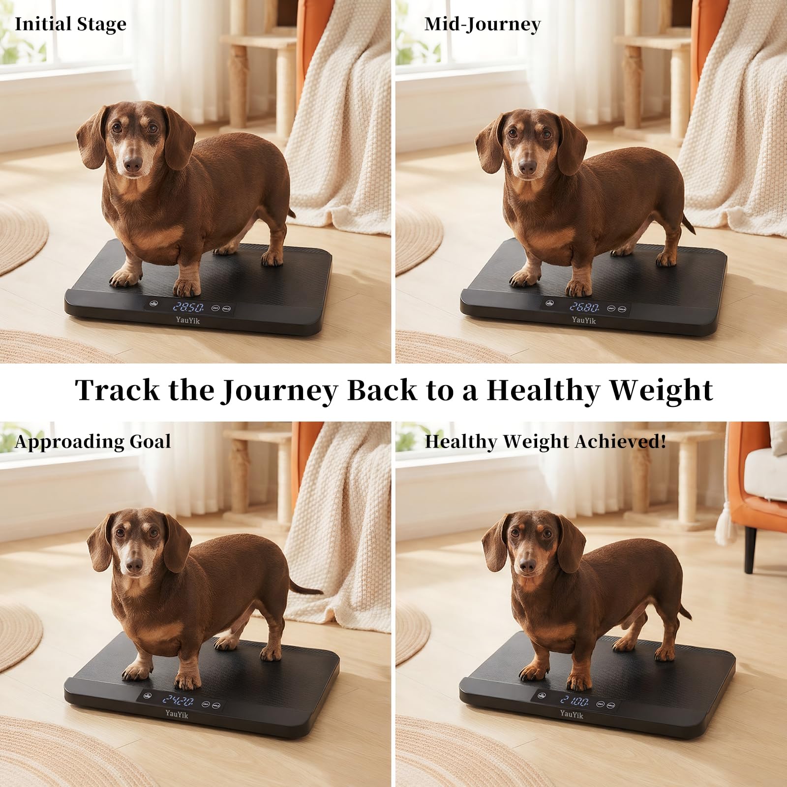 YauYik digital pet scale no-assembly design for quick use out of the box.