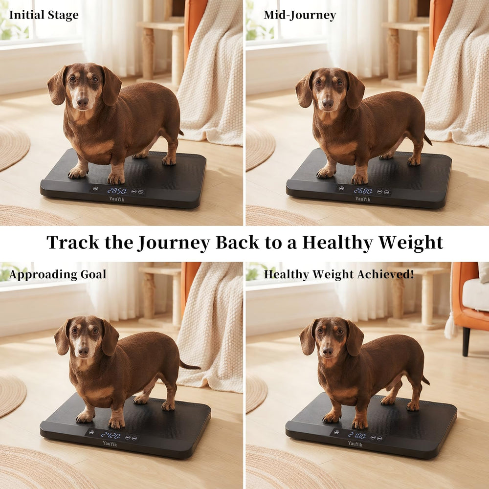 YauYik digital pet scale no-assembly design for quick use out of the box.
