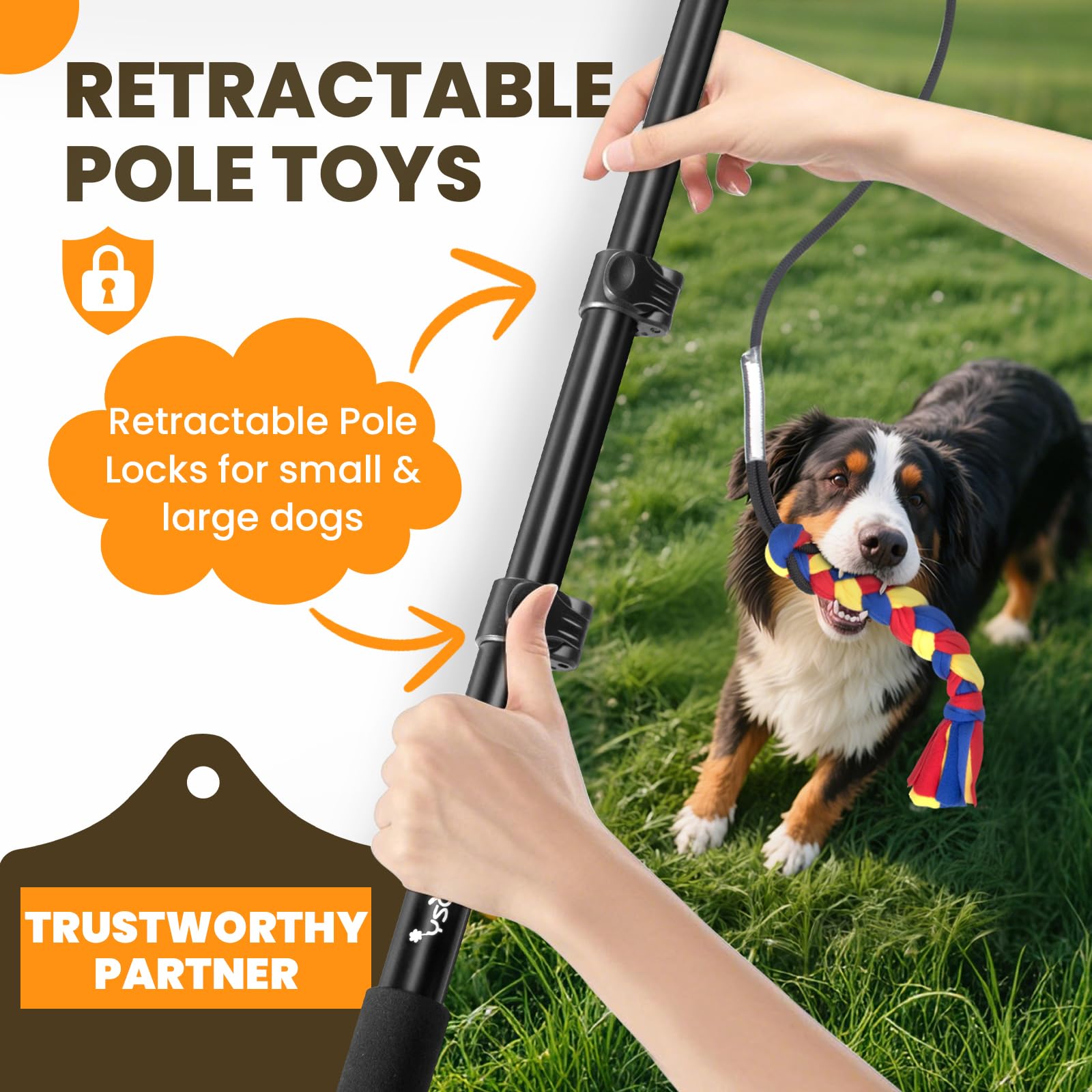 Ycozy Flirt Pole extendable rod for adjustable training reach.