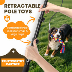 Ycozy Flirt Pole extendable rod for adjustable training reach.