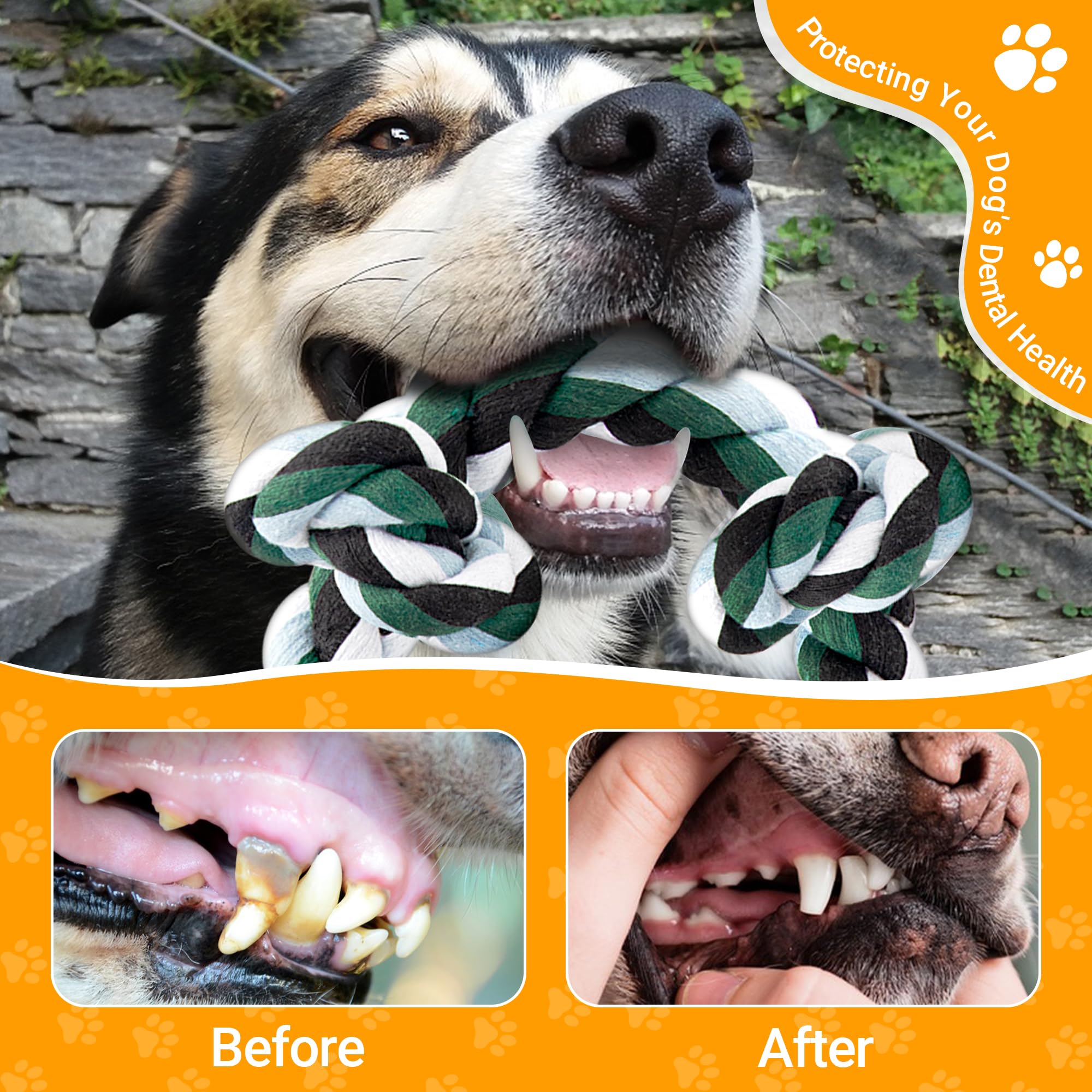 Dog chewing the Ycozy rope toy to help relieve boredom and stress.