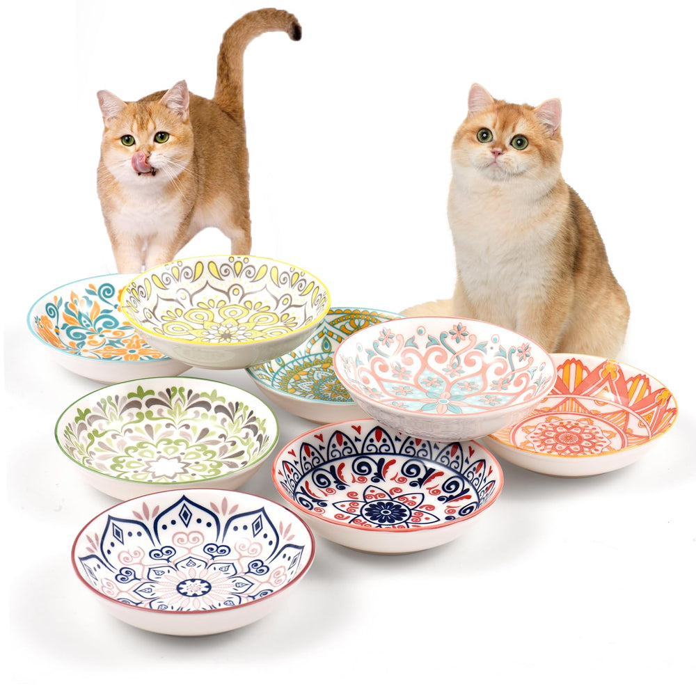 YEAHGO indoor cat bowls in ceramic glaze designed for easy cleaning.