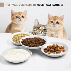 Yeahgo cat feeding bowls include a colorful spring toy for play.