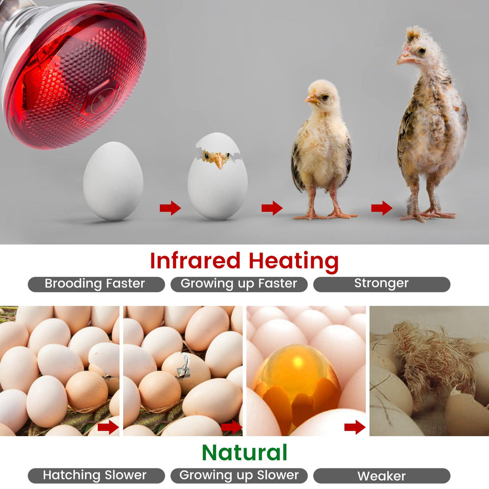 YEAOI infrared red light for brooders keeps chicks cozy.