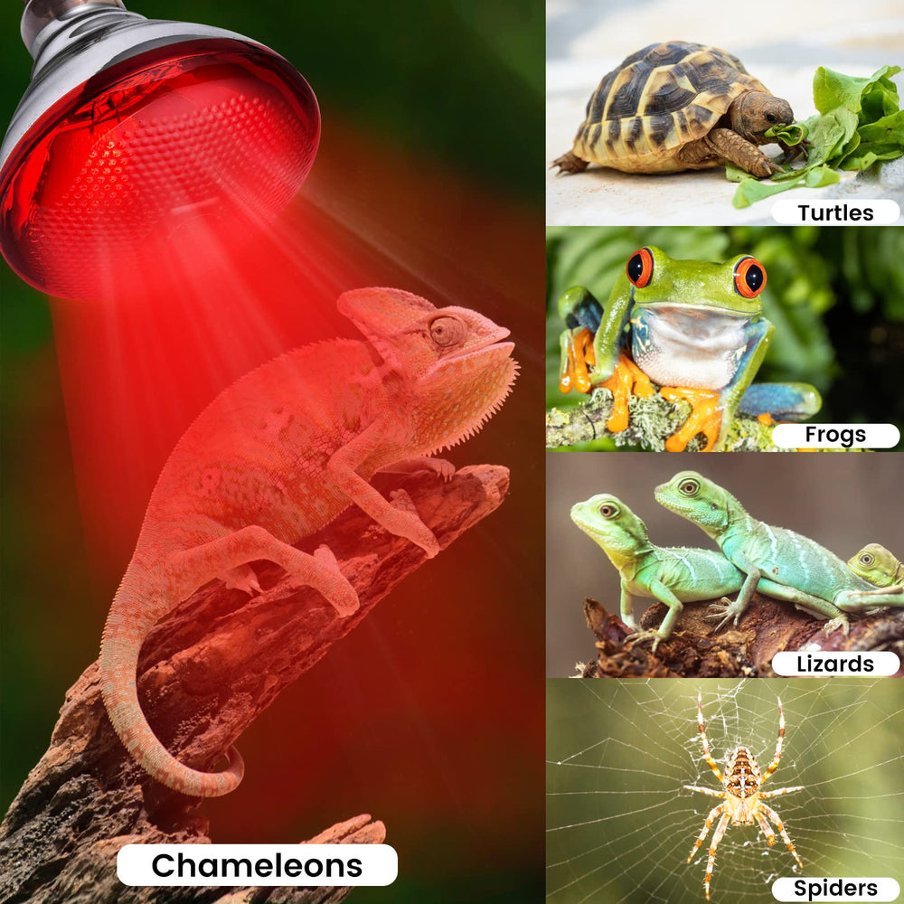 YEAOI night heat for reptiles in enclosed habitats.