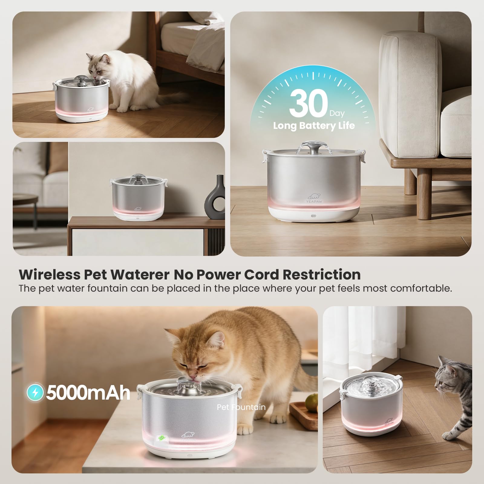 YEAPAW cordless pet water dispensing enables flexible placement in the home.