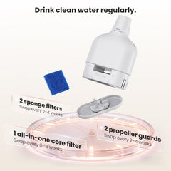YEAPAW filter soaking and rinsing prep keeps filtration effective before use.