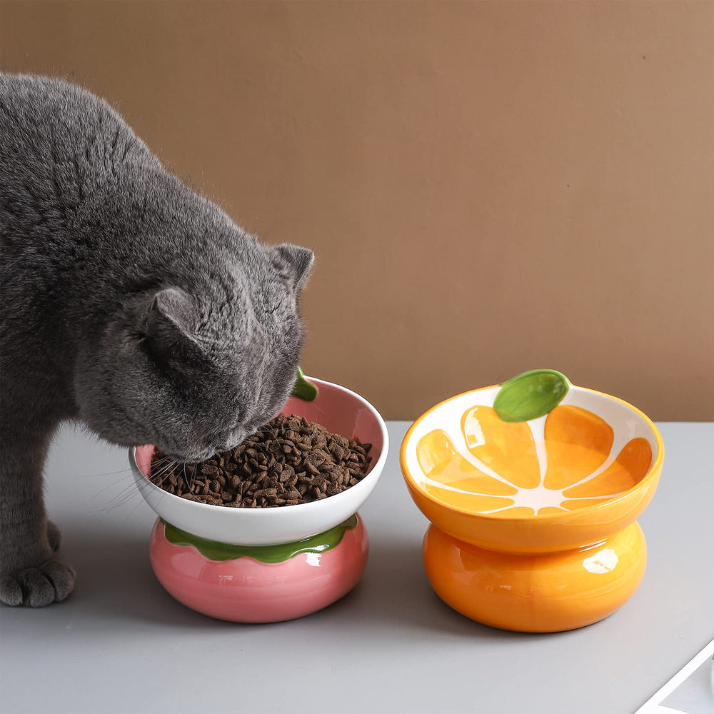 Yeexoxow dishwasher-safe cat bowl for easy cleanup after meals.