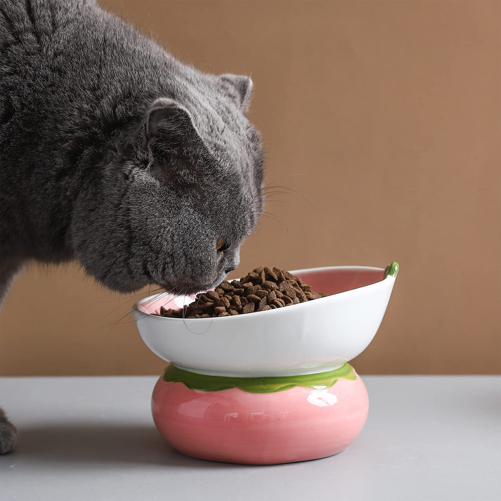 Yeexoxow elevated cat food bowl with 15-degree tilt for comfortable eating.