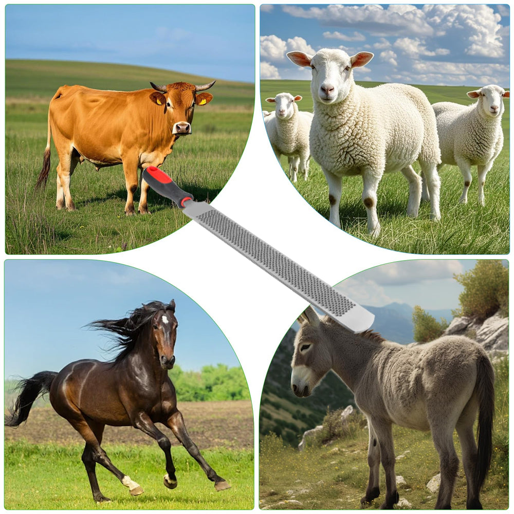 YEOLYTA professional hoof rasp for multi-species farm use