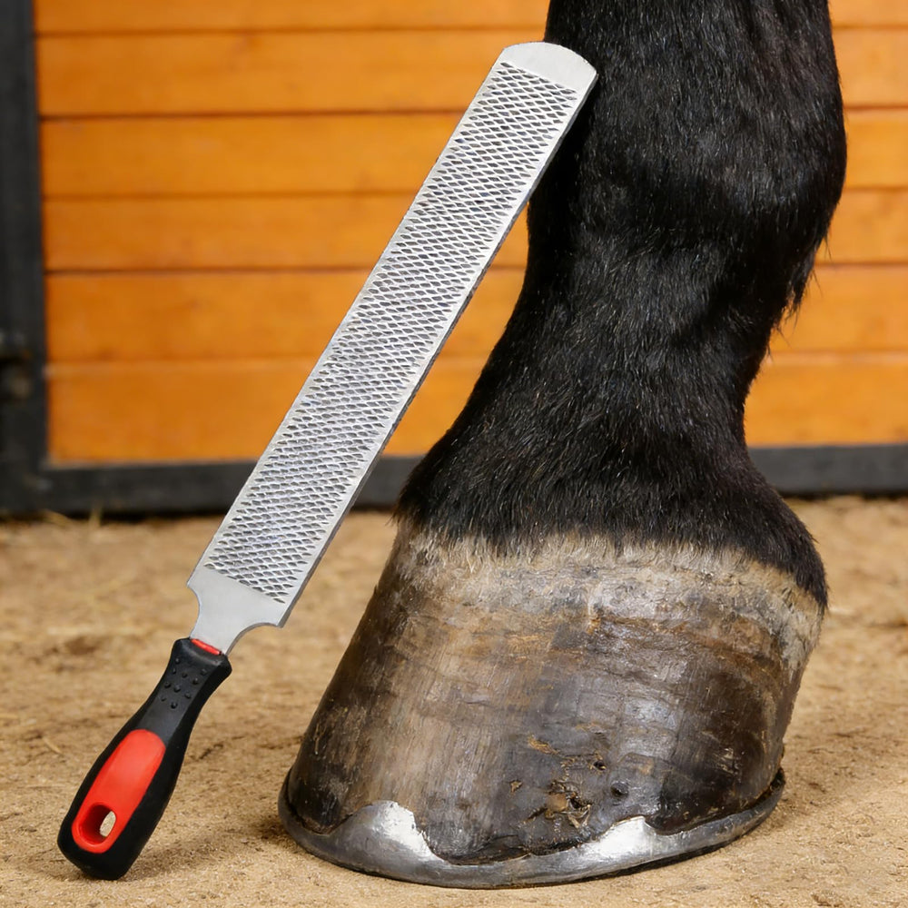YEOLYTA hoof rasp suitable for woodworking and smoothing wood