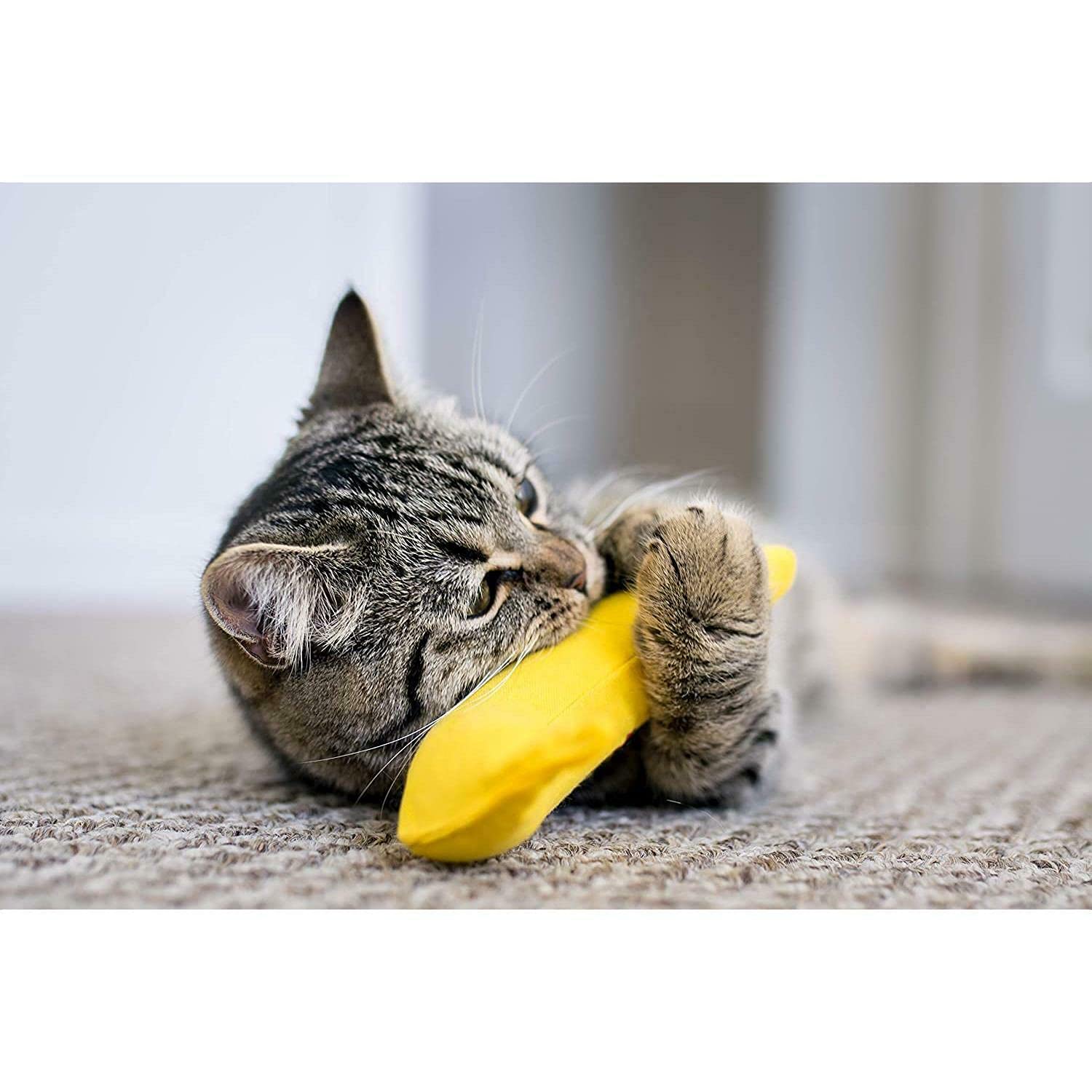 Yeowww! DuckyWorld banana toy texture emphasizes durability for lasting play.