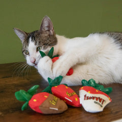 Yeowww! Strawberries catnip toy in action demonstrates scent-driven play