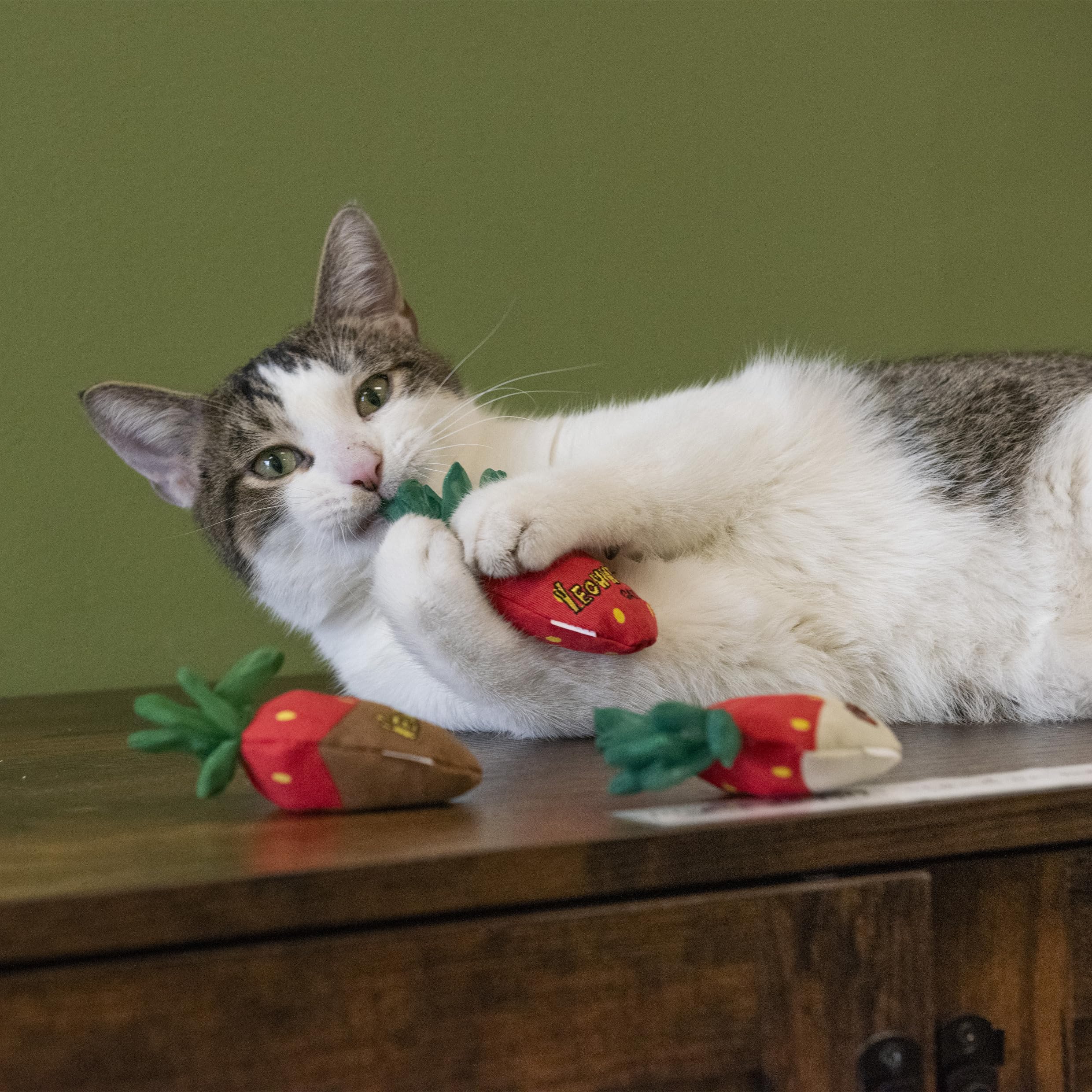 Yeowww! Strawberries catnip toy texture detail emphasizes durable fabric and natural colors