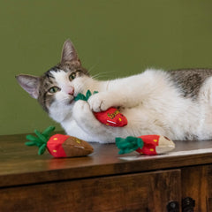 Yeowww! Strawberries catnip toy texture detail emphasizes durable fabric and natural colors
