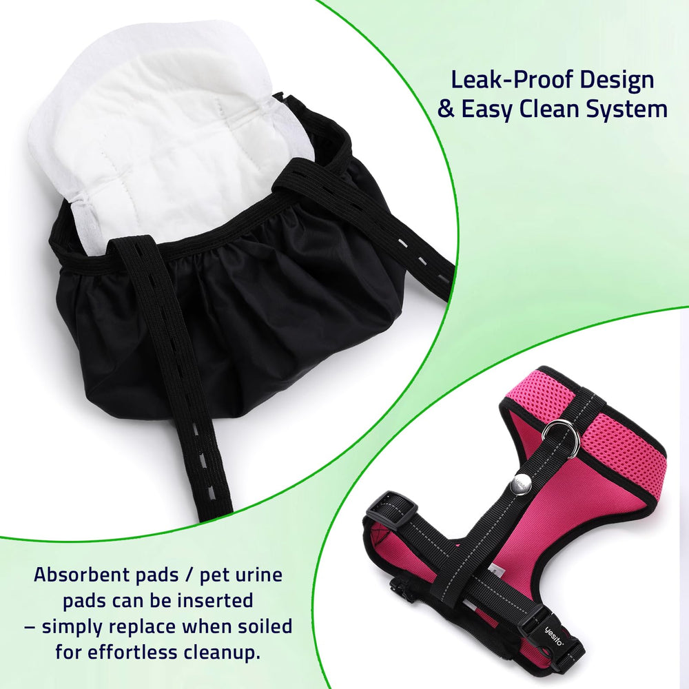 Yesito five-point-four-foot leash provides room for safe garden explorations